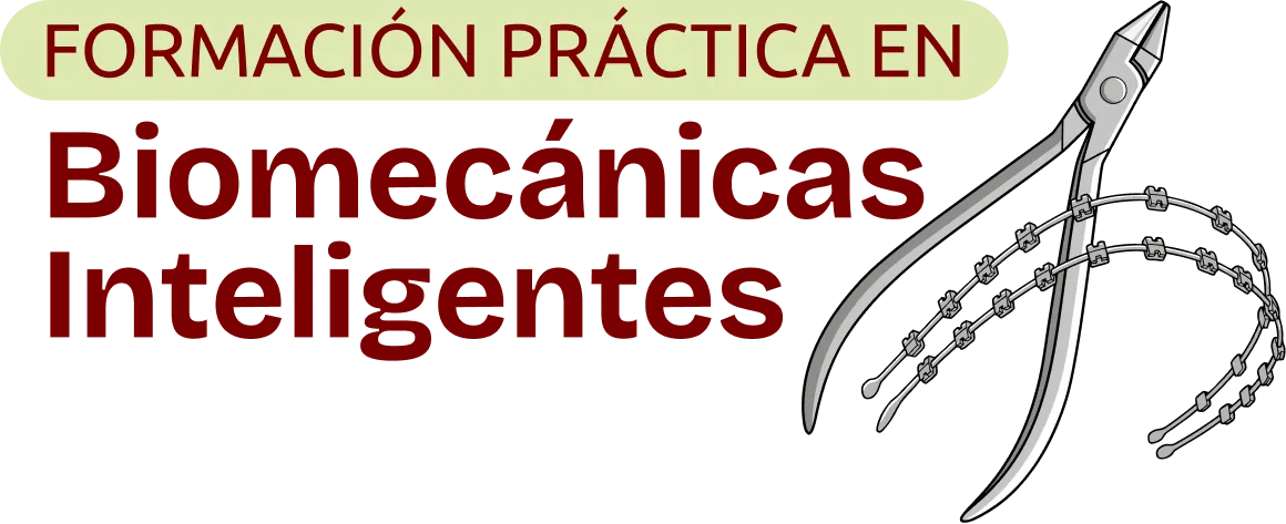 Formación Práctica en Biomecánicas Inteligentes